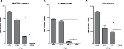 Human Mast Cell Line HMC1 Expresses Functional Mas-Related G-Protein Coupled Receptor 2